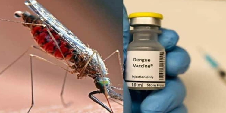 ഇന്ത്യയിലെ ആദ്യ ഡെങ്കിപ്പനി വാക്സിന്‍: ഒന്നാം ഘട്ട ക്ലിനിക്കല്‍ പരീക്ഷണത്തിന് അനുമതി