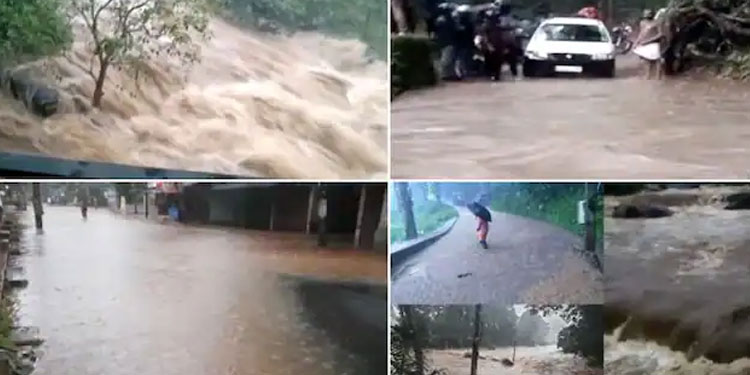 മൺസൂൺ പാത്തി തെക്കോട്ട് മാറി, കേരളത്തിൽ 11 വരെ വ്യാപക മഴയ്ക്ക് സാധ്യത, ഒറ്റപ്പെട്ടയിടങ്ങളിൽ ശക്തമായേക്കും