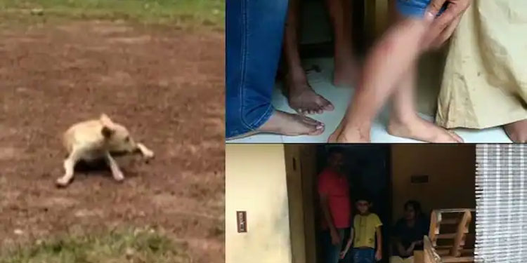ശാസ്താംകോട്ടയിലെത്തിയ സഞ്ചാരികൾക്ക് നേരെ തെരുവ് നായ ആക്രമണം: ആറ് വയസ്സുകാരനടക്കം മൂന്ന് പേ‍ര്‍ക്ക് കടിയേറ്റു