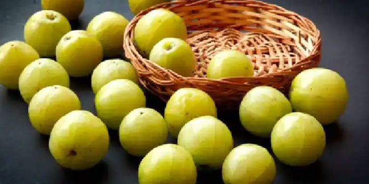 താരൻ അകറ്റാൻ നെല്ലിക്ക ഇങ്ങനെ ഉപയോ​ഗിക്കൂ