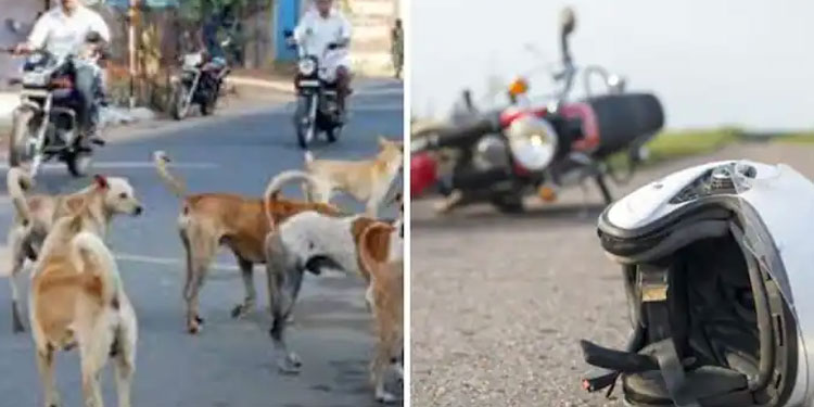 ഓടുന്ന സ്കൂട്ടറിന് നേരെ പാഞ്ഞടുത്ത് തെരുവ് നായ; വാഹനം നിയന്ത്രണം വിട്ടുമറിഞ്ഞു; രണ്ട് പേര്‍ക്ക് പരിക്ക്