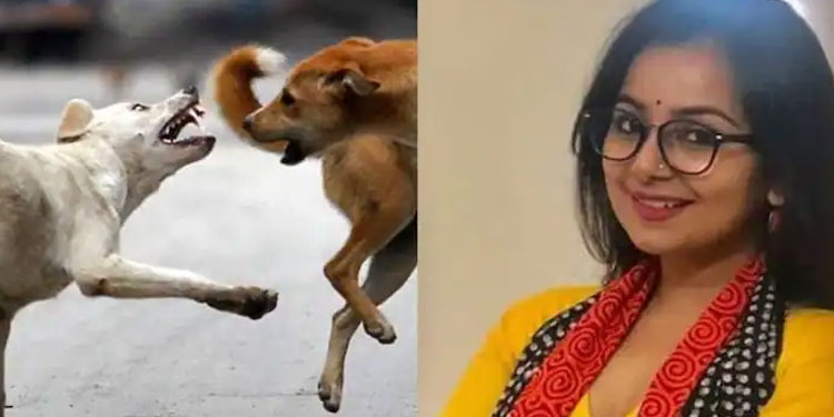 ‘നായകളുടെ കടി കൊള്ളണമെന്ന് ആരും പറഞ്ഞിട്ടില്ല, കെട്ടി തൂക്കുന്നതും റീത്ത് വയ്ക്കുന്നതും പൈശാചികം’; മൃദുല മുരളി