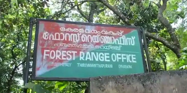 കണ്ണൂരിൽ വൻ ചന്ദനവേട്ട: ചെത്തി ഒരുക്കി വിൽക്കാൻ വച്ച 390 കിലോ ചന്ദനം പിടികൂടി