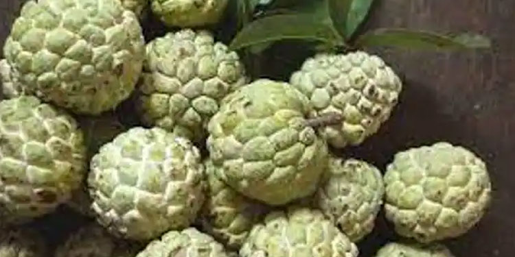 പ്രമേഹരോ​ഗികൾക്ക് സീതപ്പഴം കഴിക്കാമോ?