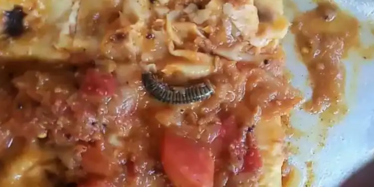 ക്യാന്‍റീന്‍ ഭക്ഷണത്തില്‍ തക്കാളിക്കറിയിൽ ചത്ത അട്ടയുടെ അവശിഷ്ടം, പരാതി