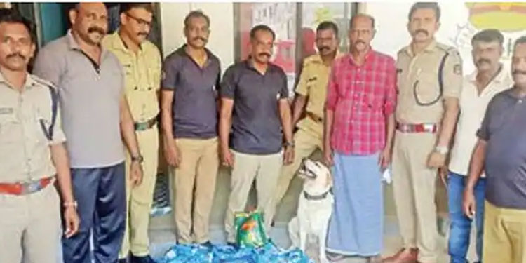 നിരോധിത പുകയില വേട്ട; ഡോഗ് സ്ക്വാഡെത്തി, മണത്ത് പിടിച്ചത് 1000 ഹാന്‍സ് പായ്ക്കറ്റ്