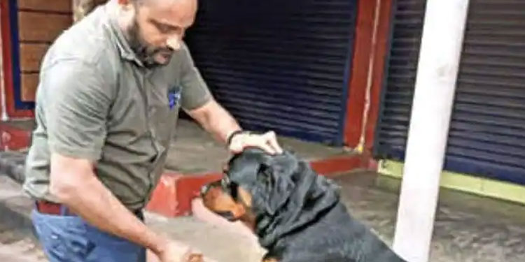 റോട്ട്‍വീലറിനെ ഉപേക്ഷിച്ച സംഭവം; അന്വേഷണത്തിന് പൊലീസിന്‍റെ രഹസ്യാന്വേഷണ സേന