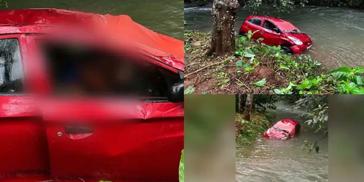 പാലാ തിടനാട്ടിൽ കാർ തോട്ടിൽ വീണു, യുവാവ് മരിച്ചു