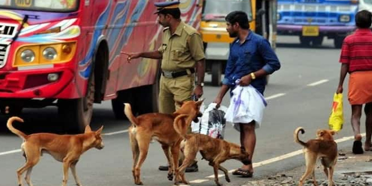 മൃഗങ്ങളുമായി ഇടപഴകുന്ന ജീവനക്കാര്‍ക്ക് സ്‌പെഷ്യല്‍ വാക്‌സീനേഷനുമായി ആരോഗ്യവകുപ്പ്