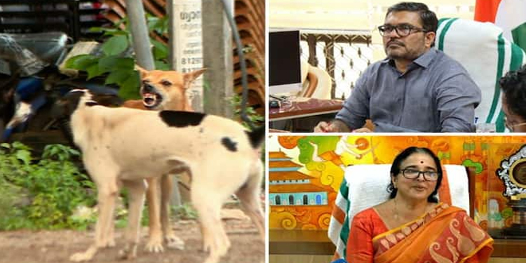 തെരുവ്നായ ശല്യം: മന്ത്രിയും തദ്ദേശസ്ഥാപന അധ്യക്ഷന്മാരുമായി യോഗം, തെരുവ് നായ്ക്കളെ കൊല്ലരുതെന്ന് കോഴിക്കോട് മേയർ