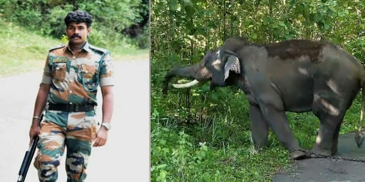 തൃശ്ശൂർ പാലപ്പിള്ളിയിലെ കാട്ടാന ആക്രമണം; ആനകളെ തുരത്തുന്നതിനിടെ പരിക്കേറ്റ ആ‍ർആർടി അംഗം മരിച്ചു