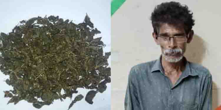ലോഡ്ജില്‍ നിന്നും മധ്യവയസ്‌കനെ കഞ്ചാവുമായി എക്‌സൈസ് സംഘം അറസ്റ്റ് ചെയ്തു