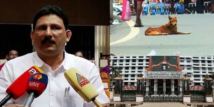 അക്രമകാരികളായ തെരുവ് നായ്ക്കളെ കൊന്നൊടുക്കാൻ അനുമതി വേണം; കൊല്ലം ജില്ലാ പഞ്ചായത്ത് ഹൈക്കോടതിയിൽ
