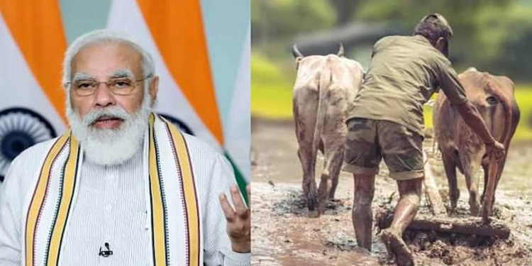 മോദി ജീ, നിങ്ങൾ കാരണം ഞാൻ ആത്മഹത്യ ചെയ്യുന്നു; പ്രധാനമന്ത്രിക്ക് ജന്മദിനാശംസ നേർന്ന് കർഷകൻ ജീവനൊടുക്കി