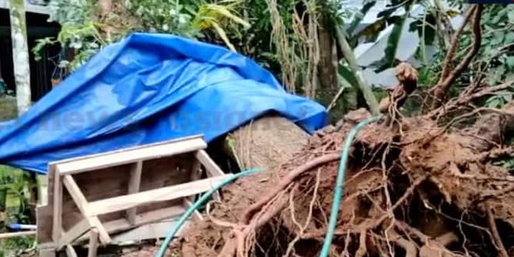 ചാലക്കുടിയിൽ ചുഴലിക്കാറ്റ്, വീടുകൾക്കും കൃഷിയിടങ്ങൾക്കും നാശനഷ്ടം