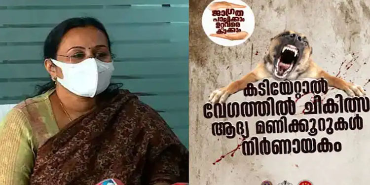 പട്ടിയുടെ കടിയേറ്റാൽ മുറിവ് ചെറുതാണെങ്കിലും നിസാരമായി കാണരുത്; ശ്രദ്ധിക്കേണ്ട കാര്യങ്ങള്…