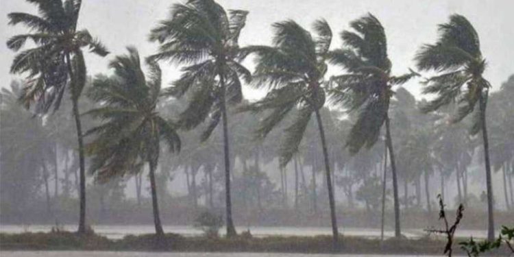 ഒറ്റപ്പെട്ട ശക്തമായ മഴയ്ക്ക് സാധ്യത; വിവിധ ജില്ലകളിൽ യെല്ലോ അലർട്ട് പ്രഖ്യാപിച്ചു