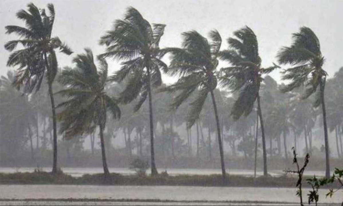 ഒറ്റപ്പെട്ട ശക്തമായ മഴയ്ക്ക് സാധ്യത; വിവിധ ജില്ലകളിൽ യെല്ലോ അലർട്ട് പ്രഖ്യാപിച്ചു
