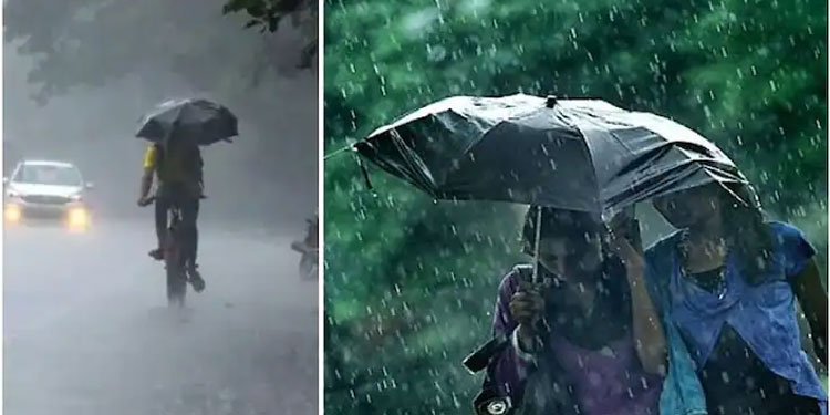വീണ്ടും മഴ വരുന്നു; നാളെ നാല് ജില്ലകളില്‍ ശക്തമായ മഴയ്ക്ക് സാധ്യത, യെല്ലോ അലേര്‍ട്ട്