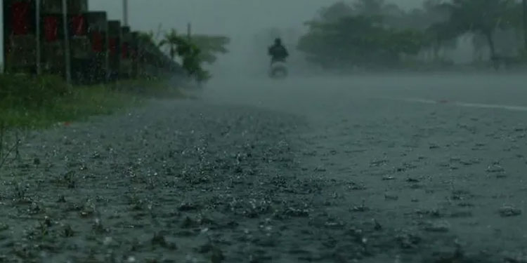 സംസ്ഥാനത്ത് മഴ ശക്തമാകും, 7 ജില്ലകളിൽ യെല്ലോ അല‍ര്‍ട്ട് , മലയോരമേഖലകളിൽ കൂടുതൽ മഴയ്ക്ക് സാധ്യത