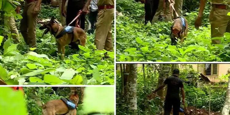 നരബലി; ഭഗവൽ സിംഗിന്റെയും ലൈലയുടേയും പുരയിടത്തിൽ കൂടുതൽ പരിശോധന ; നായ മണം പിടിച്ച് നിന്നത് മൂന്ന് സ്ഥലങ്ങളിൽ
