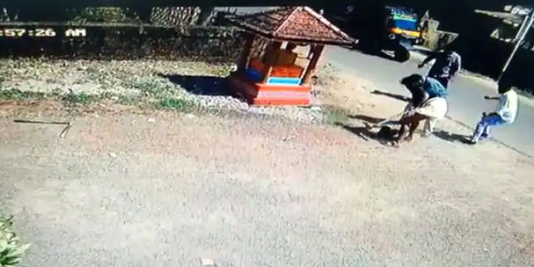 വഴിയേ പോയ തെരുവു നായയെ പിന്നാലെയെത്തി തല്ലി, കടിവാങ്ങി, തല്ലിക്കൊന്നു, കേസ്