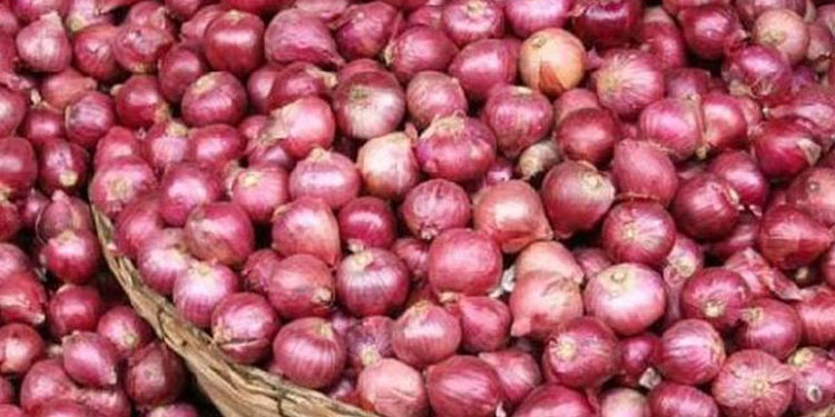 രാജ്യത്ത് ഉള്ളി വില കുതിക്കുന്നു; പുതിയ വിളയെ കാത്ത് വ്യാപാരികൾ