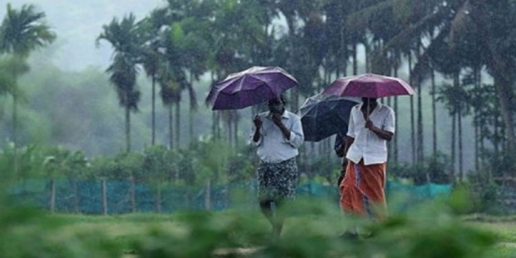 ന്യൂനമർദ്ദ സാധ്യത: 21 വരെ വ്യാപക മഴ