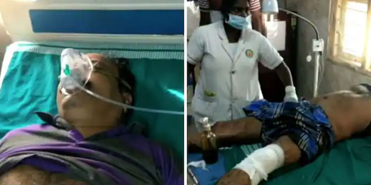 ഷോളയാറിൽ കാട്ടാനയുടെ ആക്രമണത്തിൽ തൊഴിലാളിക്ക് പരിക്ക്