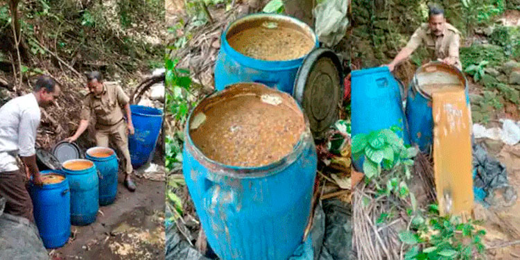 കോഴിക്കോട്ട് വ്യാജ വാറ്റുകേന്ദ്രങ്ങൾ എക്സൈസ് കണ്ടെത്തി; 940 ലിറ്റർ വാഷ് നശിപ്പിച്ചു