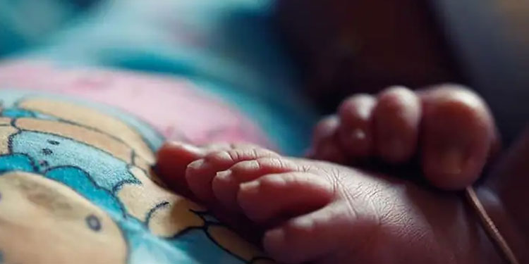 കോഴിക്കോട് പിഞ്ചുകുഞ്ഞിനെ തട്ടിക്കൊണ്ടുപോയി, യുവതിയുടെ പരാതിയിൽ ഭർത്താവും ഭർത്തൃമാതാവും കസ്റ്റഡിയിൽ