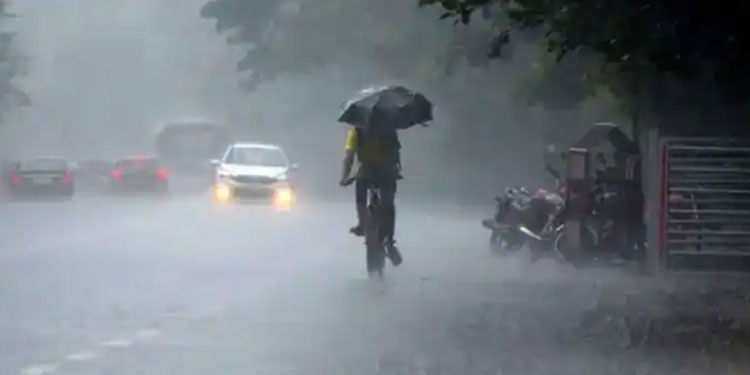 തുലാവർഷം തമിഴ്നാട് തൊട്ടു; നാളെയോടെ കേരളത്തിലെത്തുമെന്ന് കാലാവസ്ഥാ നിരീക്ഷണ കേന്ദ്രം