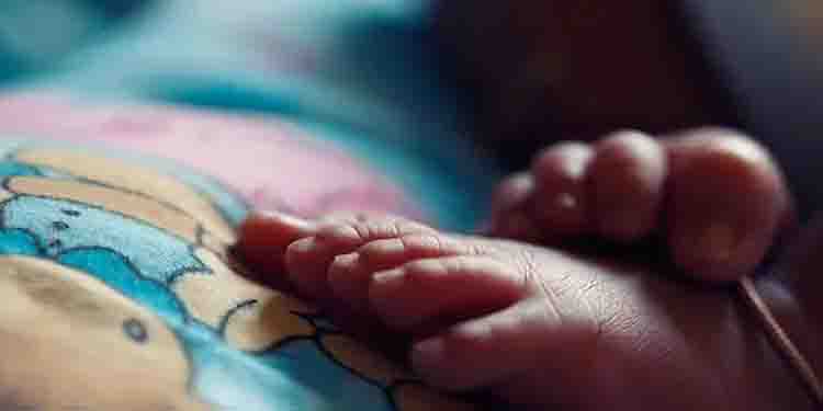 ആംബുലൻസിന്റെ ഇന്ധനം തീർന്നു, ആദിവാസി യുവതി രാത്രിയിൽ റോഡരികിൽ പ്രസവിച്ചു