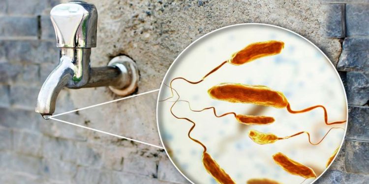 സമയത്തിന് ചികിത്സിച്ചില്ലെങ്കില്‍ കോളറ മരണകാരണമാകും: അറിയാം ലക്ഷണങ്ങള്‍