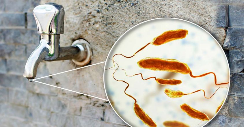 സമയത്തിന് ചികിത്സിച്ചില്ലെങ്കില്‍ കോളറ മരണകാരണമാകും: അറിയാം ലക്ഷണങ്ങള്‍