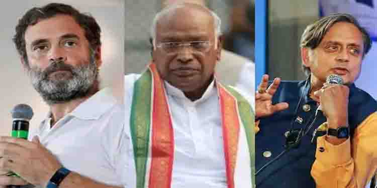 കോൺഗ്രസ് പ്രവർത്തക സമിതിയിലേക്കും തെരഞ്ഞെടുപ്പ്? ഖർഗെയെ നിലപാടറിയിച്ച് രാഹുൽ