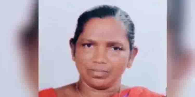 ഒരുകൈ വെട്ടിമാറ്റി, 46 മുറിവുകൾ; ഒമ്പത് വർഷം മുമ്പ് ഇലന്തൂരിനെ ഞെട്ടിച്ച് മറ്റൊരു കൊലപാതകം, അന്വേഷണം വീണ്ടും