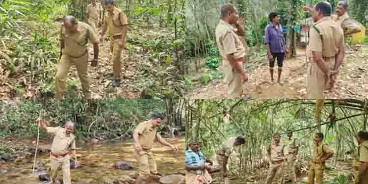 നേര്യമംഗലത്ത് വനത്തിൽ തോക്കുധാരികളെ കണ്ടെന്ന് വിവരം; വനം വകുപ്പ് – പൊലീസ് ഉദ്യോഗസ്ഥർ തിരച്ചിൽ നടത്തി