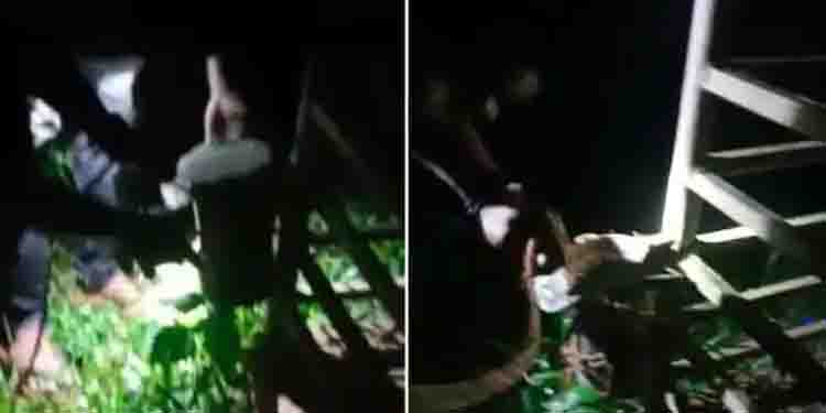 വിതുരയിലെ പുലി സാന്നിധ്യം; ആശങ്കപ്പെടേണ്ട കാര്യമില്ലെന്ന് വനം വകുപ്പ്