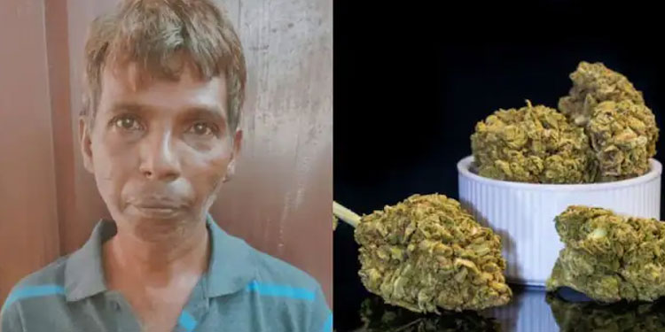 കഞ്ചാവ് ചെറിയ പൊതികളാക്കി സ്കൂളുകൾ കേന്ദ്രീകരിച്ച് വിൽപ്പന; മധ്യവയസ്കന്‍ പിടിയില്‍