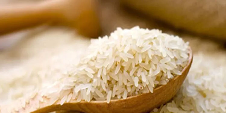 അരിവില: കലക്ടര്‍ ജെറോമിക് ജോര്‍ജ് മിന്നല്‍പരിശോധന നടത്തി