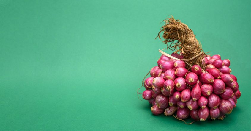 താരനും മുടി കൊഴിച്ചിലും തടയാൻ ഉള്ളി