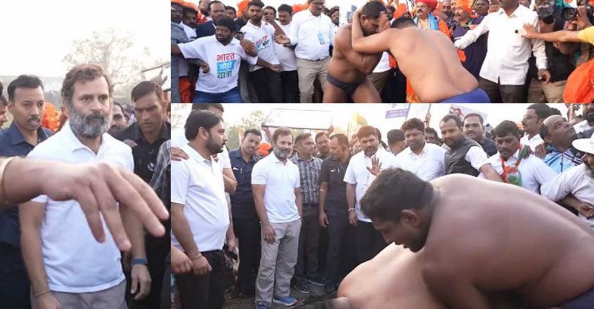യാത്രയ്ക്കിടെ 2 മല്ലൻമാർ; പോരാട്ടം കണ്ടാസ്വദിച്ച് രാഹുൽ– വിഡിയോ