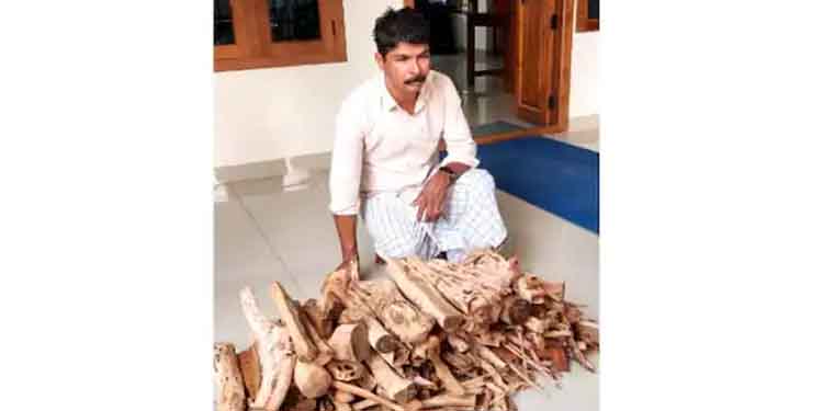 വില്‍പനക്കായി വീട്ടിൽ സൂക്ഷിച്ച 40 കിലോ അനധികൃത ചന്ദനത്തടികൾ വനം വകുപ്പ് പിടികൂടി; ഒരാൾ അറസ്റ്റിൽ