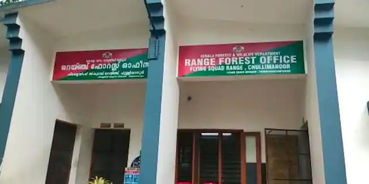 ഫോറസ്റ്റ് ഓഫിസ് വളപ്പിലെ മരം മുറിക്കുന്നതിനിടെ കേടായ മരം വീണ് തൊഴിലാളിക്ക് ദാരുണാന്ത്യം