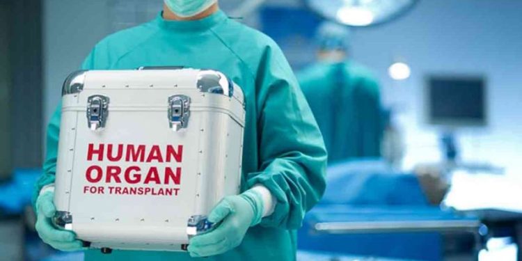 ‌ഡോക്ടർമാർക്ക് നൂലാമാല; മൃതസഞ്ജീവനി അവയവമാറ്റ ശസ്ത്രക്രിയകൾ നിലച്ച് കേരളം