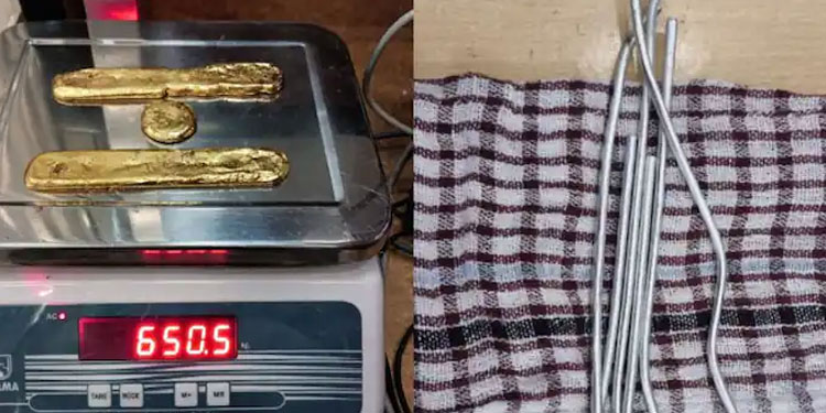 വീണ്ടും സ്വർണവേട്ട: കണ്ണൂരിൽ 2 യാത്രക്കാർ പിടിയിൽ, 50 ലക്ഷം വിലവരുന്ന സ്വർണം പിടികൂടി