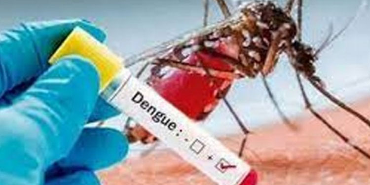 ഡെങ്കിപ്പനി ബാധിച്ച് ഒമ്പത് വയസുകാരന്‍ മരിച്ചു