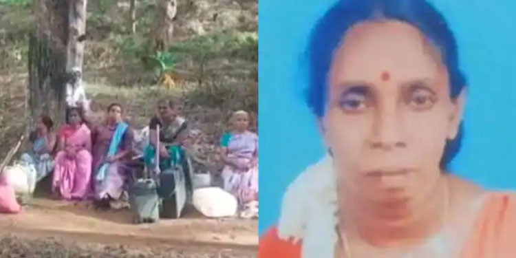 ഭര്‍ത്താവിന്‍റെ മുന്നില്‍ വച്ച് യുവതിയെ കാട്ടാന ചവിട്ടിക്കൊന്നു