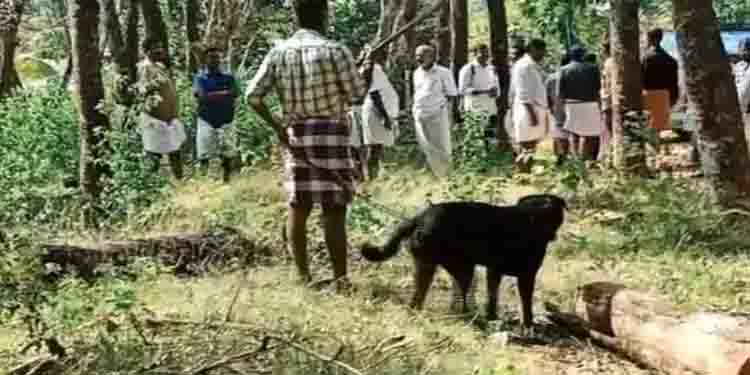 ഗേറ്റ് പൂട്ടി നായയെ തുറന്നുവിട്ട് പ്രതി; രണ്ടുദിവസമായി പോലീസ് പുറത്ത്, ട്രെയിനർമാരുടെ സഹായം തേടിയേക്കും